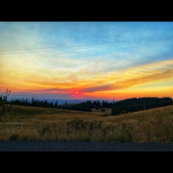 Meet your Posher, Rebecca Ball ❣️ - Picture 5 of 13